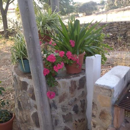 Casa El Tio Juan Villa Cumbres de San Bartolomé Kültér fotó