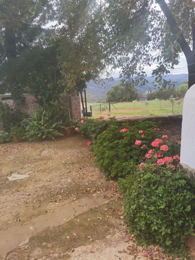 Casa El Tio Juan Villa Cumbres de San Bartolomé Kültér fotó