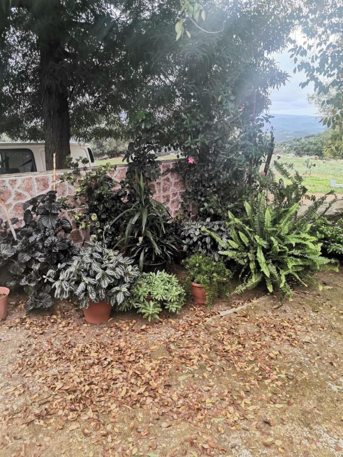 Casa El Tio Juan Villa Cumbres de San Bartolomé Kültér fotó