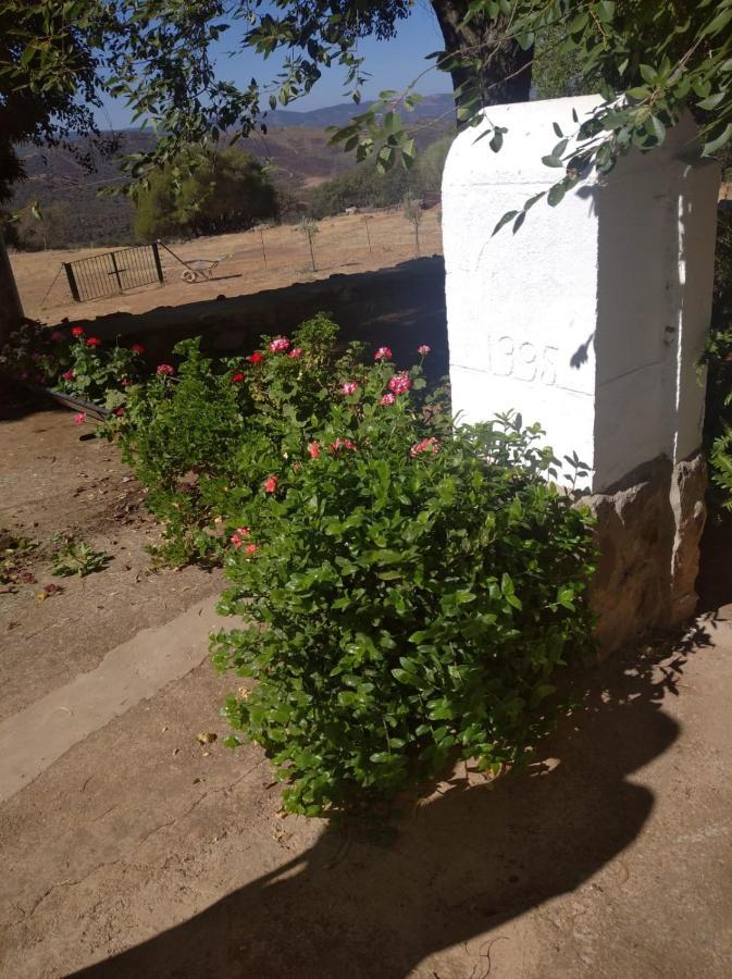 Casa El Tio Juan Villa Cumbres de San Bartolomé Kültér fotó